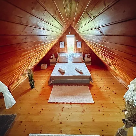 Panorama Case de vacanță